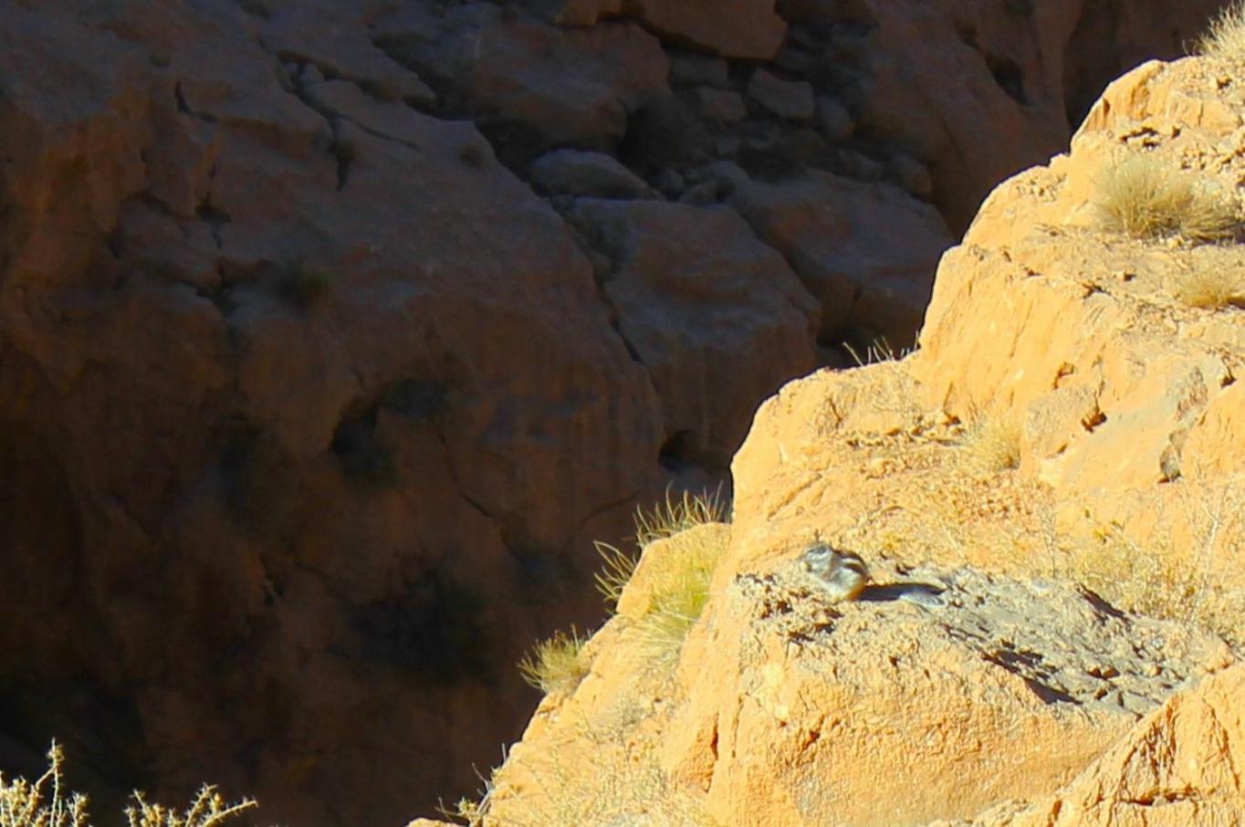Kasbah Lucas Pansiyon Akhendachou n'Ait Ouffi Dış mekan fotoğraf