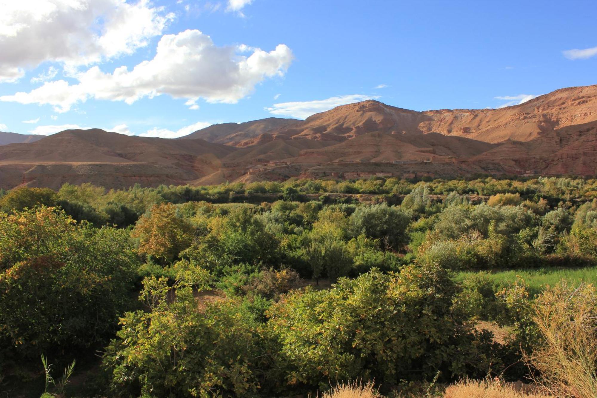 Kasbah Lucas Pansiyon Akhendachou n'Ait Ouffi Dış mekan fotoğraf